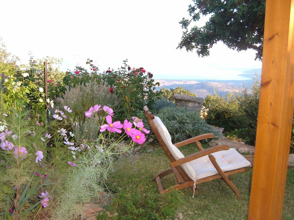Rose Garden - Gan Vradim Villa Amirim Exterior photo